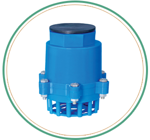 Nut Bolt Foot Valve Washer