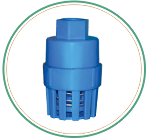 Small Spring Foot Valve  